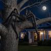 Realistische Spinnen-Requisite Halloween-Dekoration, Groß, Flauschig mit Roten Plüschtieraugen für Außenbereich, Innenbereich, Garten, Hausparty, Spukhaus-Dekor