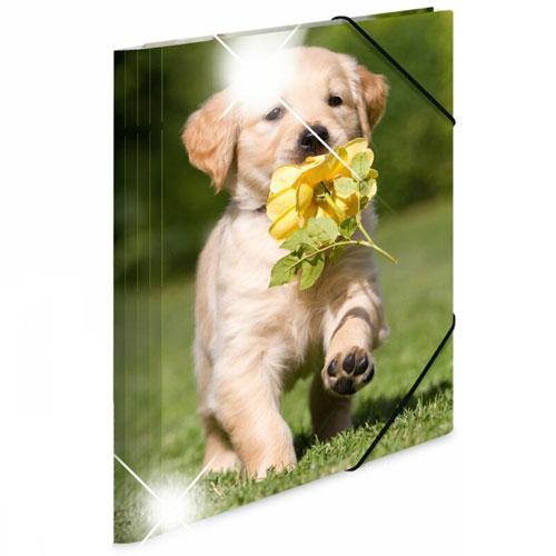 Herma Elasticated Glossy PP Folder A4 Animals (Dogs)