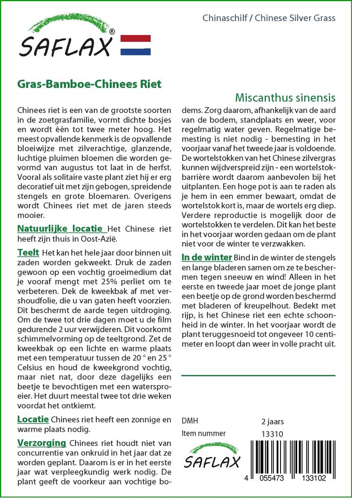 SAFLAX Stříbrná tráva čínská - 200 semen - Miscanthus sinensis