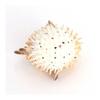Realistic Pufferfish Model Ocean Sea Life Marine Animal Aquarium Ornament Cognitive Action Figure Educational Toy for Kids
