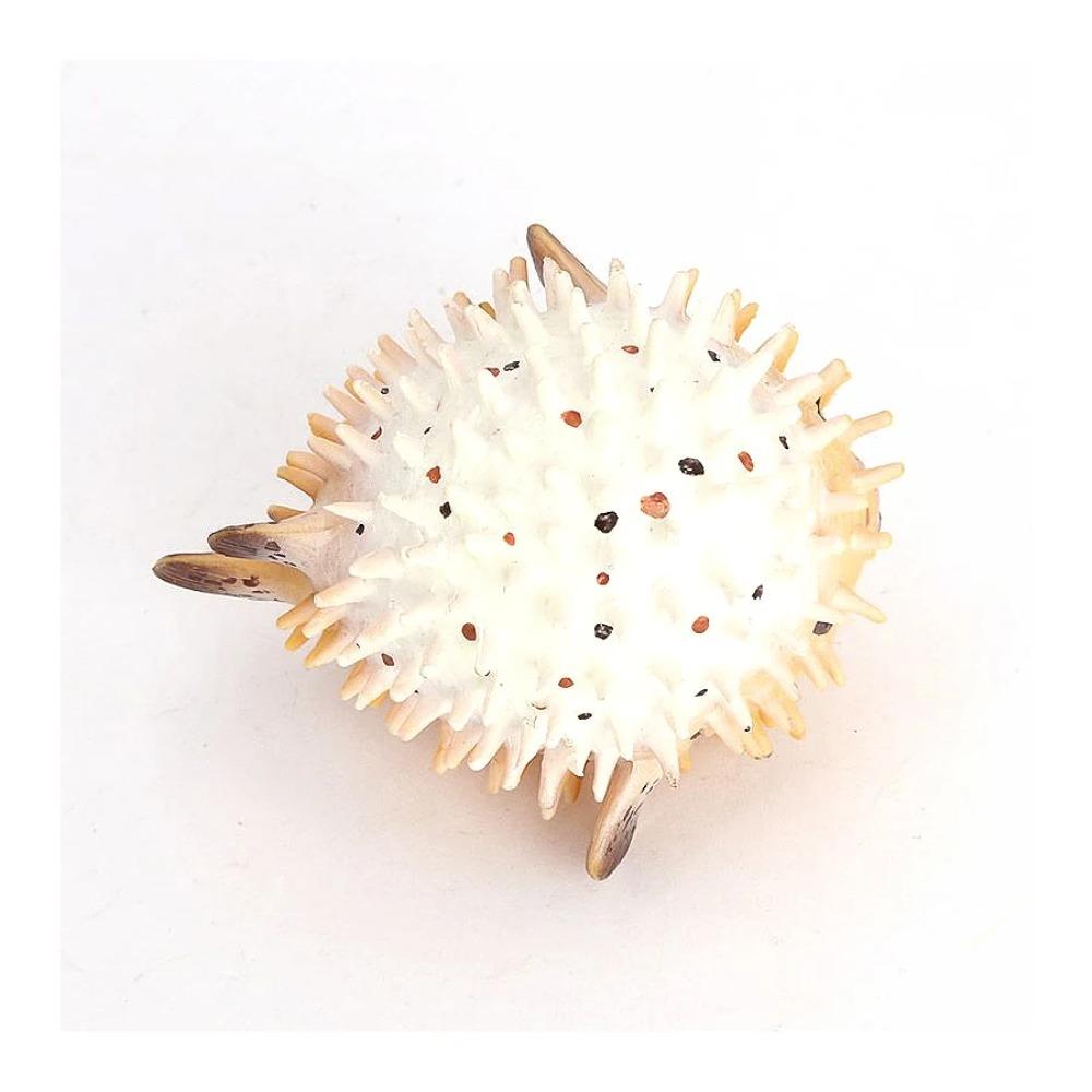 Realistic Pufferfish Model Ocean Sea Life Marine Animal Aquarium Ornament Cognitive Action Figure Educational Toy for Kids