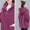 Modische Damen Oberbekleidung aus Imitat-Lammwolle, Lockerer Hoodie im koreanischen Stil für Frühling und Herbst, Plüsch-Oberbekleidung für Damen, Freizeit-Oberbekleidung