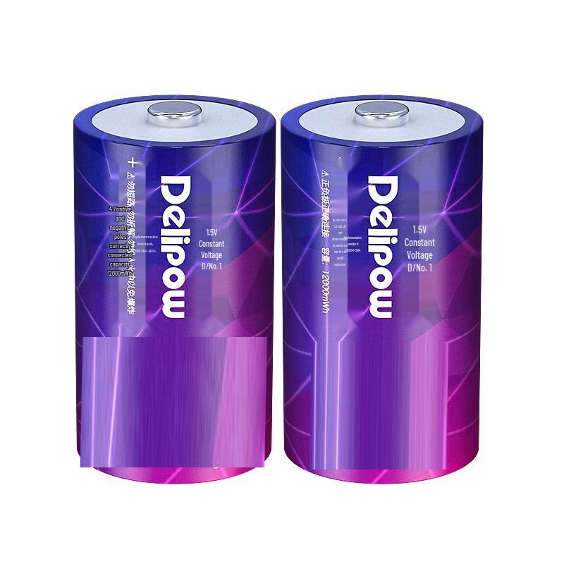 SKG D-Type 1.5V Rechargeable Lithium Battery & Charger Set