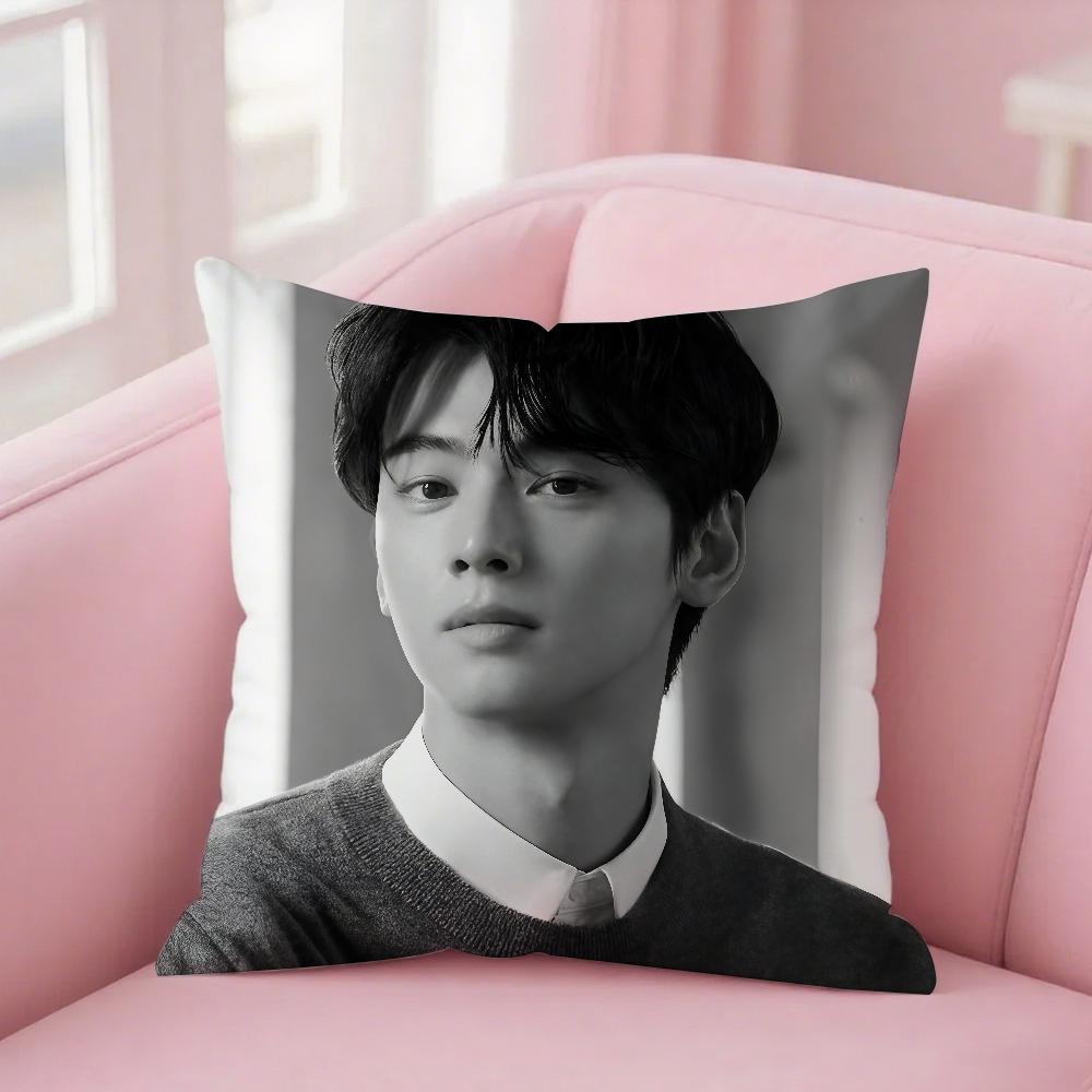 Singer C-Cha Eun-Woo Pillow Case Square Double-Sided Printing Sofa Cushion Cover Bedroom Bedside Pillowcover