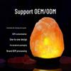Himalayan Salt Lamp USB with Colorful LED & Warm Yellow Night Light