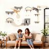 Wall shelves for cats, set of 6-piece wall furniture, acrylic bubble hammock, condo, hammock, ladder, beige