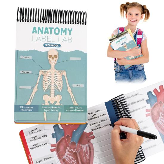 Anatomy Label Lab Workbook Human Anatomy Illustrations Workbook 100+ Full-Color Dry-Erase Pages Educational Resource for Students Professionals