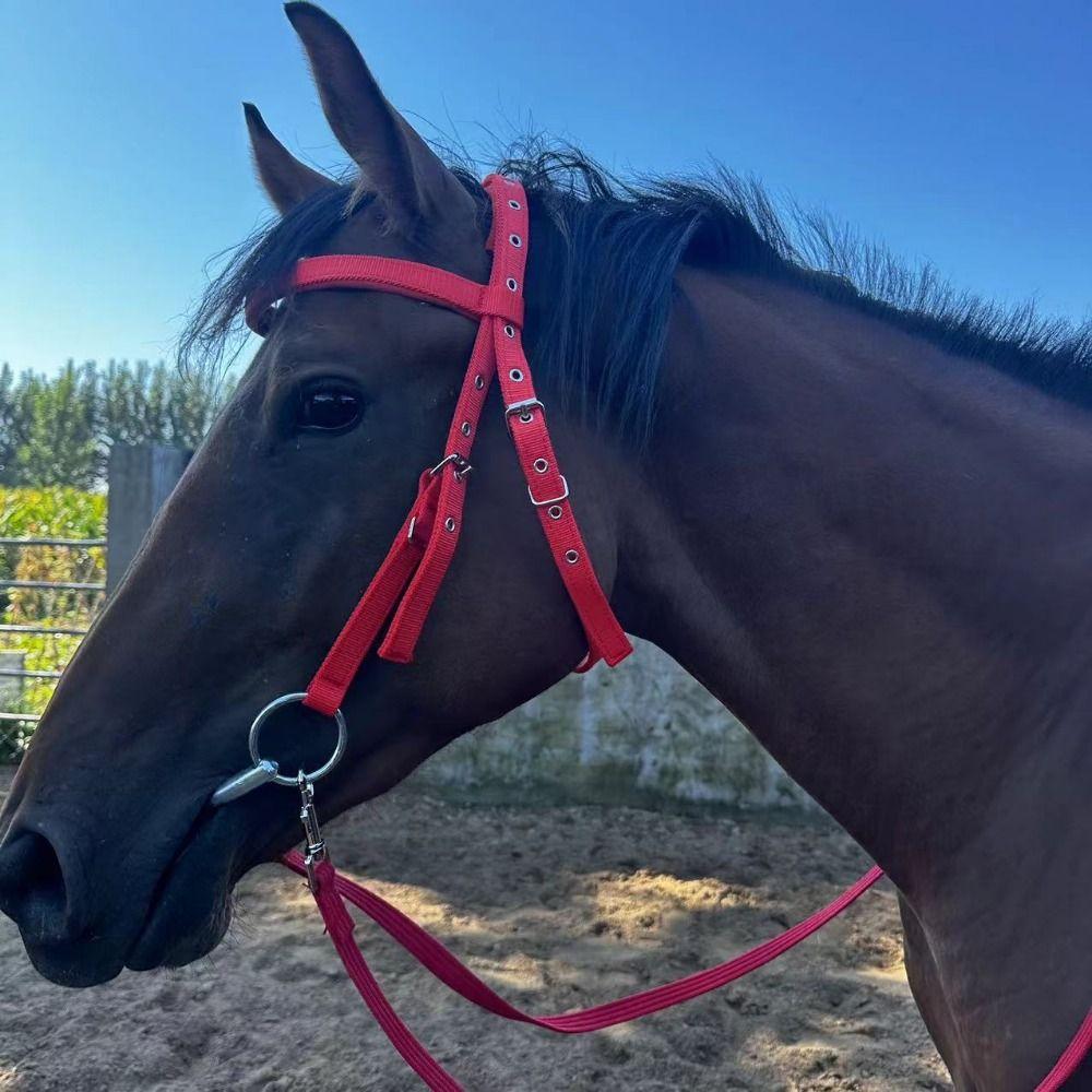 Bekvämt Hästträns Huvudband Hästträns Träningsrep Hästträningsaccessoarer