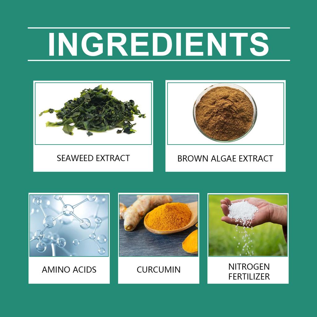 Plant Growth Fertilizers Stick for Healthy Indoor & Outdoor Gardening Easy To Use Continuous Release Full Nutrition