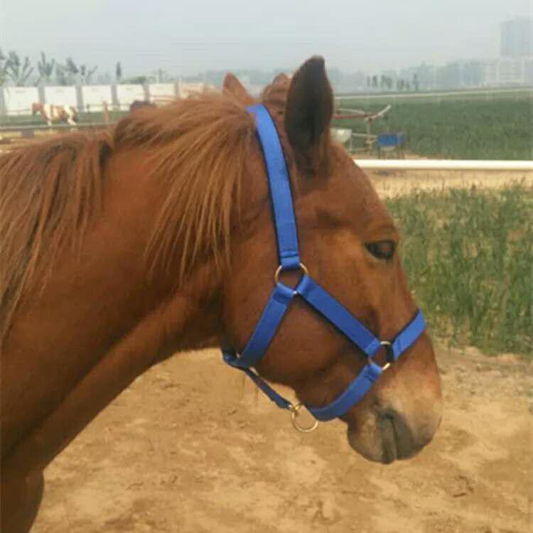 Adjustable Durable Horse Halter and Lead Rope for Large and Small Horses