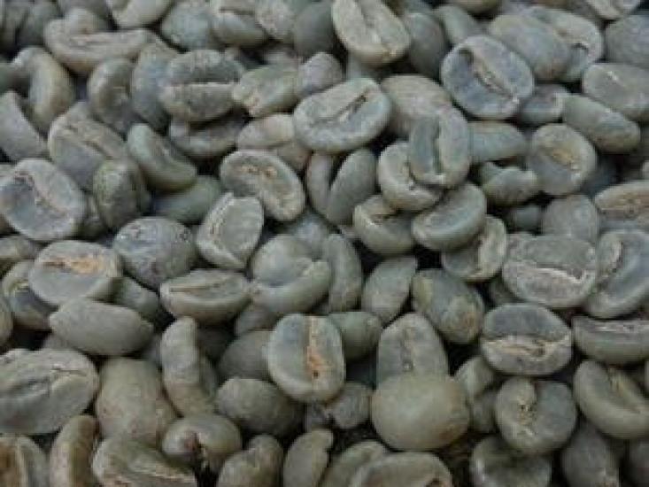 

Takao Coffee Coffee Green Beans Tanzania AA 2kg Co., Ltd. (Kilimanjaro)