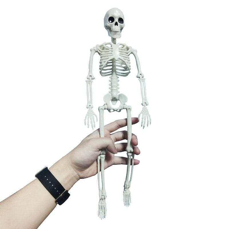 People Active Model Skeleton Anatomy Skeleton Skeleton Model Medical Learning Halloween Party Decoration Skeleton Art Sketch