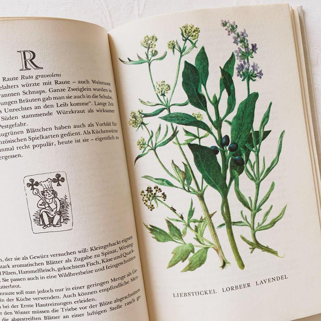 [USED] I'm drawn to the rustic feel of these vintage books on spices and herbs, foreign books, and old botanical books.