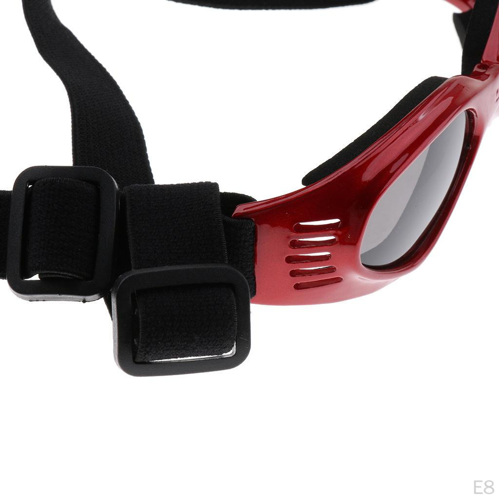 Medium Dogs Goggles Sunglasses