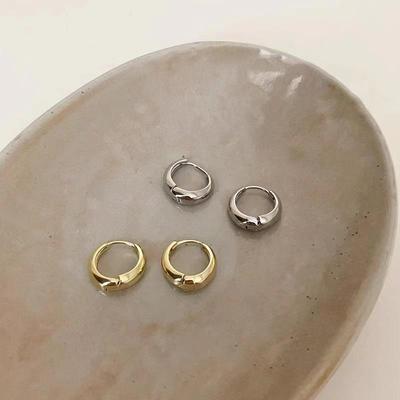 High-Grade Metal Hoop Earrings - Luxury Niche Design, Trendy 2024 Style for Women