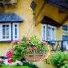Adjustable Height Retractable Hanging Hook for, Birdcages and Flower Pots - Gardening Tool