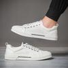 Fashion Men's Classic Canvas Spring Summer Shoes Korean Fashion Lace up Low top Board Lazy Breathable Versatile Casual Shoes SS25625