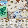 Montessori Life Cycle Le Cycle De Vie English Placa De Video Frog Butterfly Seeds Cyclus Bij Ant Teaching Aids Educationals Toys