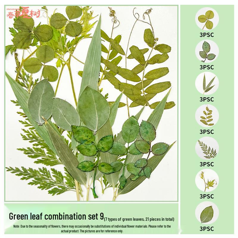 Handmade Pressed Flower Bookmark and Epoxy Sticker Pack with Real Leaf and Plant Specimens for DIY Face Makeup.