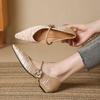 Flat Buckle with Shallow Mouth, Pointed Toe, Thick Heel, Comfortable Commuting Shoes