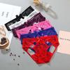 Cotton Crotch Lace Hollow Panties Transparent Mesh Bow Lace Briefs Sweet Underwear for Women Lady