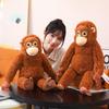 66Cm Gorilla Plush Toy, Chimpanzee, Monkey Soft Stuffed Doll, Car Bag, Room Decorations, Birthday Gifts