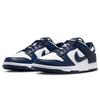 Nike Men's Dunk Casual Skate Shoes