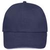 Buffalo 6 Panel Baseball Cap