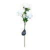 Solar Peony Flower Lamp Gift Choice For Garden Enthusiasts Gentle Illumination Peony Flower Lights
