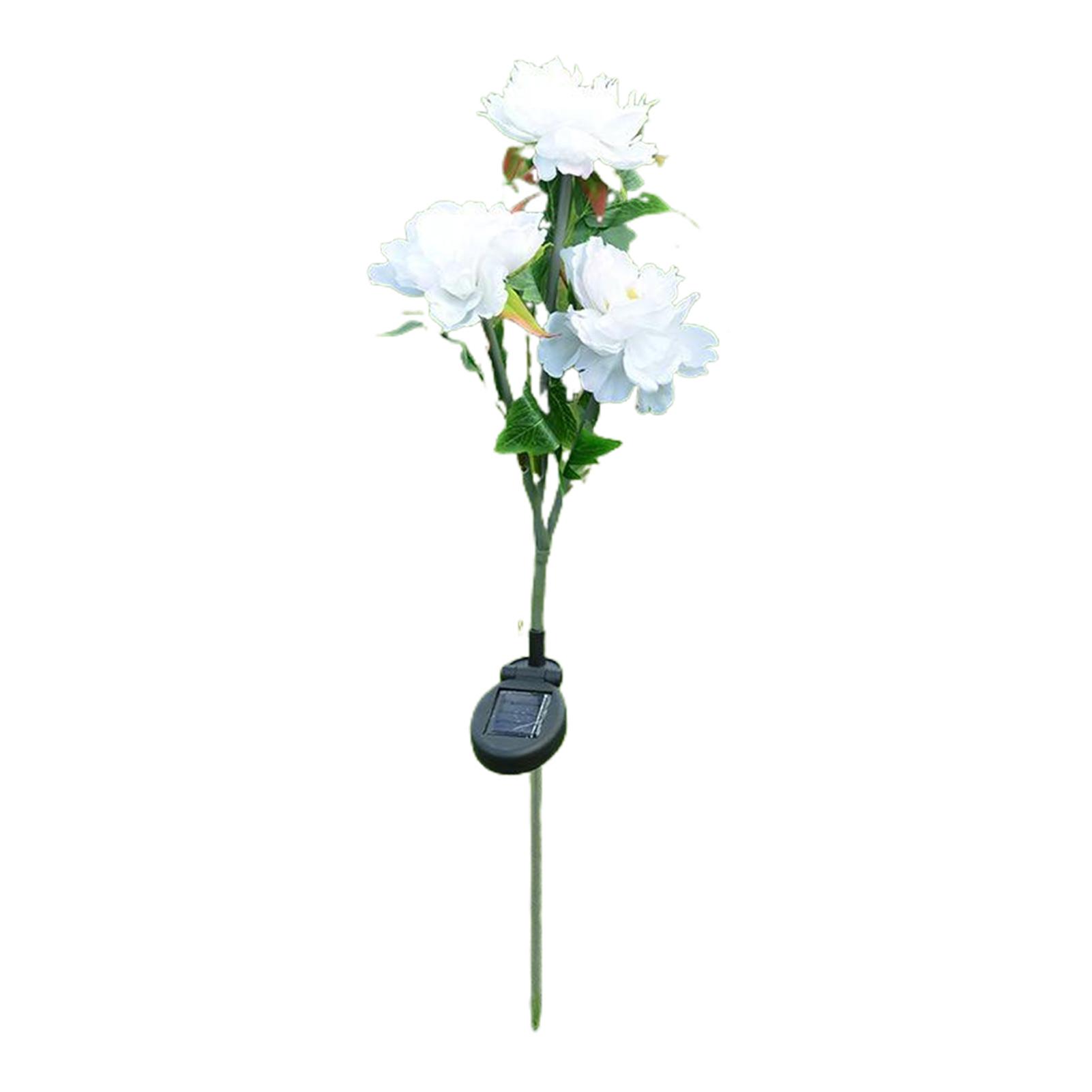 

Solar Peony Flower Lamp Gift Choice For Garden Enthusiasts Gentle Illumination Peony Flower Lights