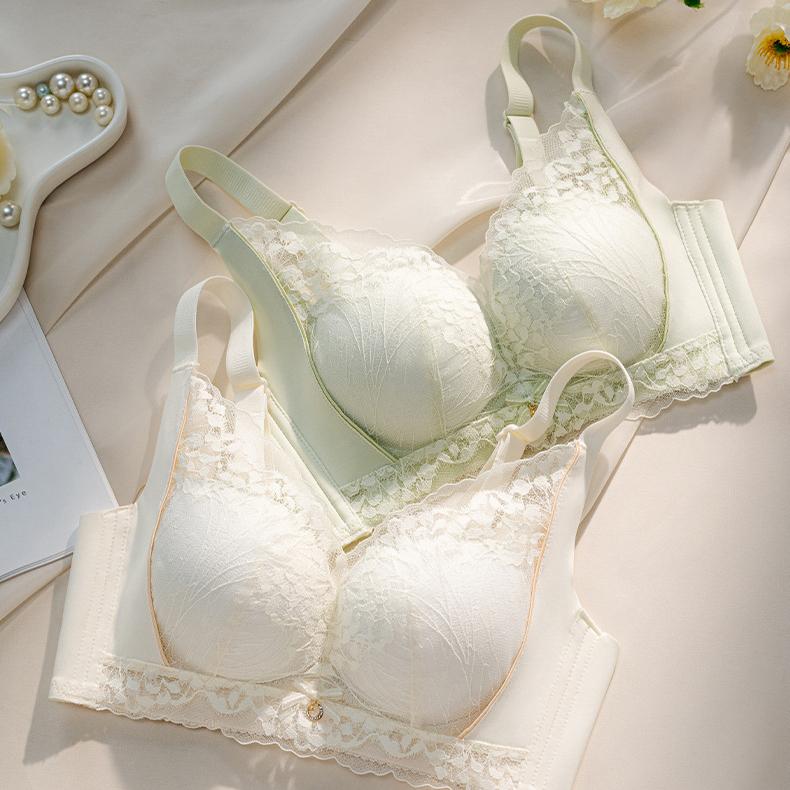 French Lace Bra Women's Gathering Bra Breast Collection Anti Sagging No Steel Ring Adjustable Thin Bra