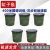 400-Meter Obstacle Course Training Equipment