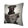 Chocolate Labrador Reading A Newspaper Square Pillowcase Pillow Cover Cushion Decor Comfort Throw Pillow for Home Car