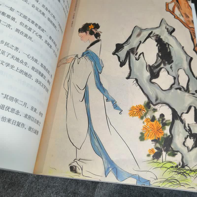 Biography of Su Dongpo