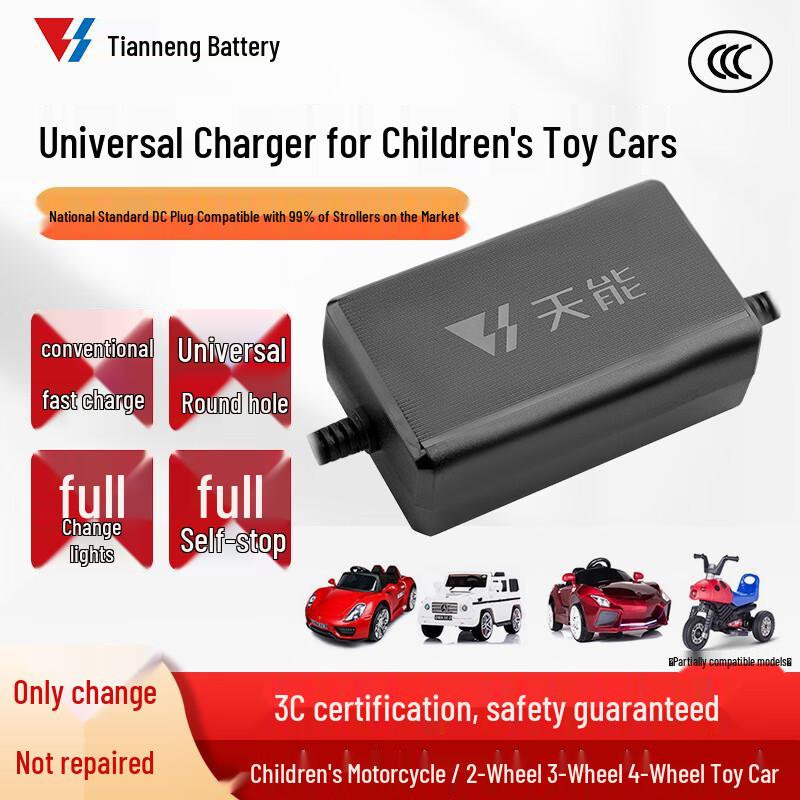 Tianneng 6V 1000mA Children s Electric Vehicle Battery Charger
