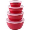 BOLIDOMI Food Storage Container 4-Piece Set