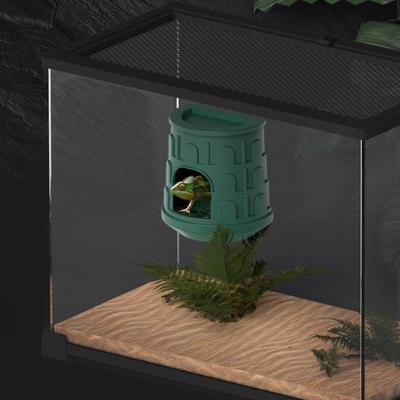 Sürüngen – Sürüngen Terraryumları