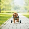 Front Leg Dog Wheelchair Padded Pet Front Leg Wheelchair Mobility Cart Comfortable Long-Lasting for Disabled Dogs