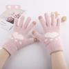 Love Warm Outdoor Cold and Warm Embroidered Knitted Gloves Student Fleece Thickened Autumn and Winter Ladies Touch Screen Gloves