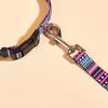 Patterned Webbing Dog Leash - Printed Pet Rope