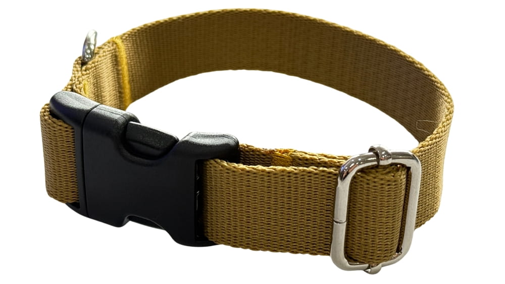 Dog Collar 2.5 cm with Buckle Adjustable Gold Fasten Dog Collar 2.5 cm with Buckle Adjustable Gold Fasten XL: 50-75cm