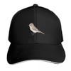 Phoebe Bird Transparent Baseball Cap Sun Hat Visor Unique Hats Hat Unisex For The Sun Womens Beach Visor Unisexs