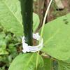 100 Pcs Plant Support Clips Plastic Gardening Clips for Securing Tomato Vine Reusable Plant Fixing Clips for Grape Climbing Plants