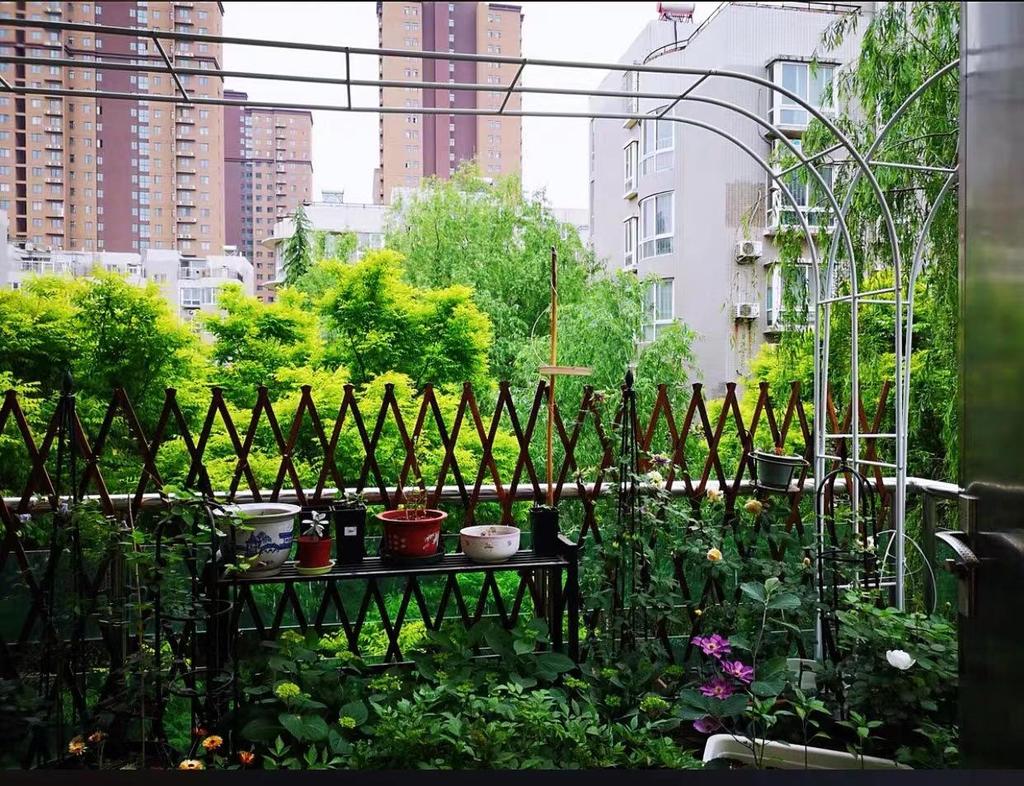 Rust-Proof Arch Trellis: Reinforced Climbing Vine Stand for Indoor/Outdoor Gardens and Courtyards.