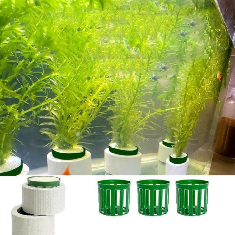 Gewichte Keramik 10 Stück Pflanzen Wasser Aquarium Pflanzen Befestigungsringe Aquarium Dekoration Zubehör Für Süßwasser Salzwasser