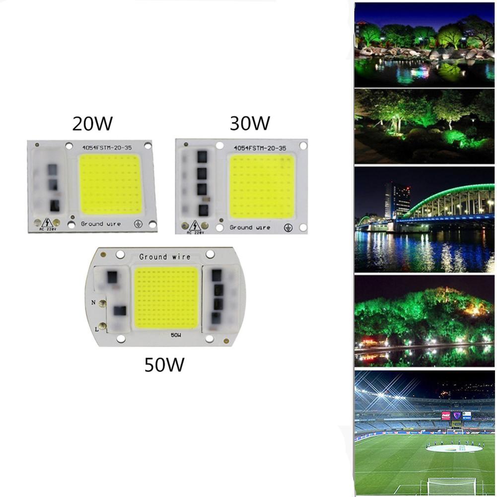 15W/20W/30W/50W LED Drive-Free COB Chip Lamp 220V