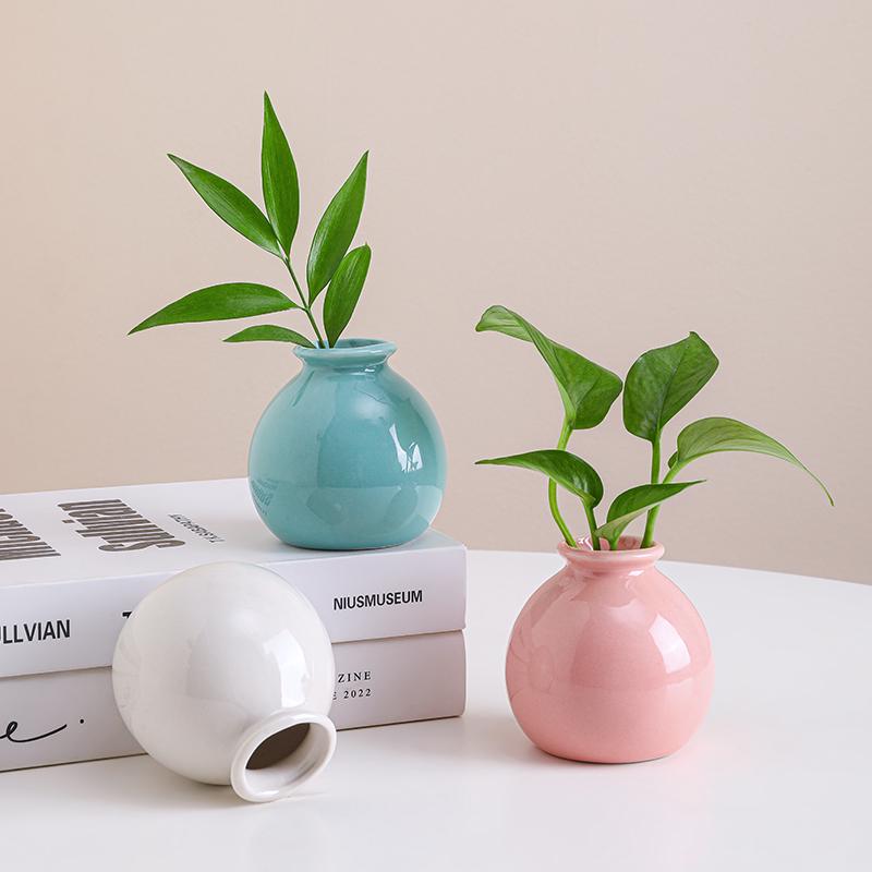 Small Ceramic Desktop Hydroponic Vase for Pothos - Simple Decorative Ornament for Office