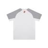 Li Ning T Shirt Unisex Light Gray ATSV937-2