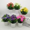 Mini Fake Potted Flowers Evergreen Bonsai Artificial Flower Bonsai Fake Plant Simulated Tree Pot Plants Desktop Decoration