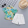 Boys' Island Style Short Sleeve Summer Clothes Set – Breathable Turn-Down Collar Shirt & Infant Two-Piece Outfit